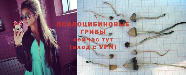 мдпв Баксан