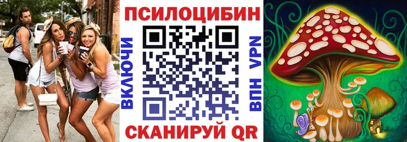 закладка  Старая Купавна  МЕГА tor  Псилоцибиновые грибы MAGIC MUSHROOMS 